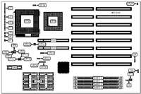 DIAMOND FLOWER, INC.   486-OCV PLUS