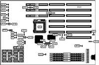 DIAMOND FLOWER, INC.   G486-EVB (REV. A)